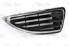 BLIC 6502-07-6037994P Radiator Grille